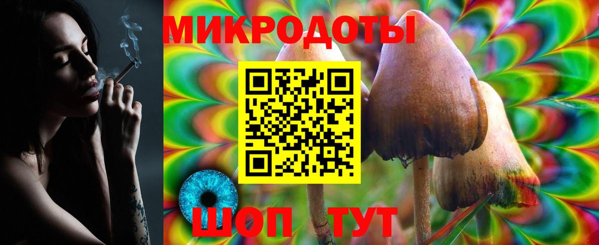 Галлюциногенные грибы MAGIC MUSHROOMS  хочу наркоту  Петропавловск-Камчатский  Вход с VPN 