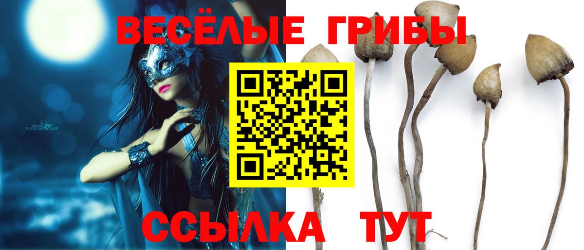 Псилоцибиновые грибы GOLDEN TEACHER Петропавловск-Камчатский